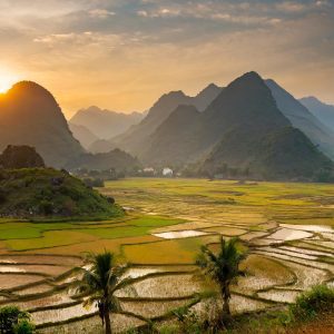 VAT Changes from July 2025 in Vietnam