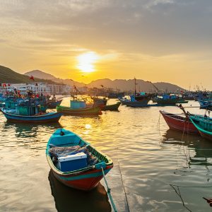 Implications of Delayed Charter Capital Contributions and Practical Strategies for Resolution