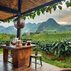 Vietnam Trademark Protection: Strategy & Global Expansion