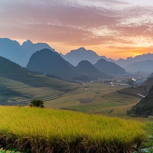 Vietnam’s New Corporate Income Tax Law 2025: Major Reform For Investment Support