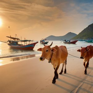 VAT Deduction Risks in Vietnam 2025: New Rules on Late Payments