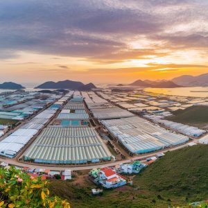 Navigating Restrictions for Vietnam’s Inbound Capital Flows