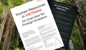 Human Resources in Vietnam: An overview for foreign investors (2024)