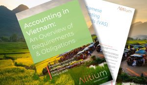 Accounting in Vietnam: An Overview