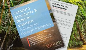 Company Structures & Roles in Vietnam: A Guide for Foreign Investors