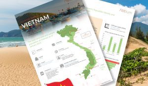 Vietnam Country Profile 2025