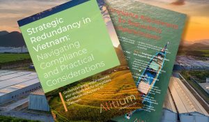 Strategic Redundancy in Vietnam in 2025