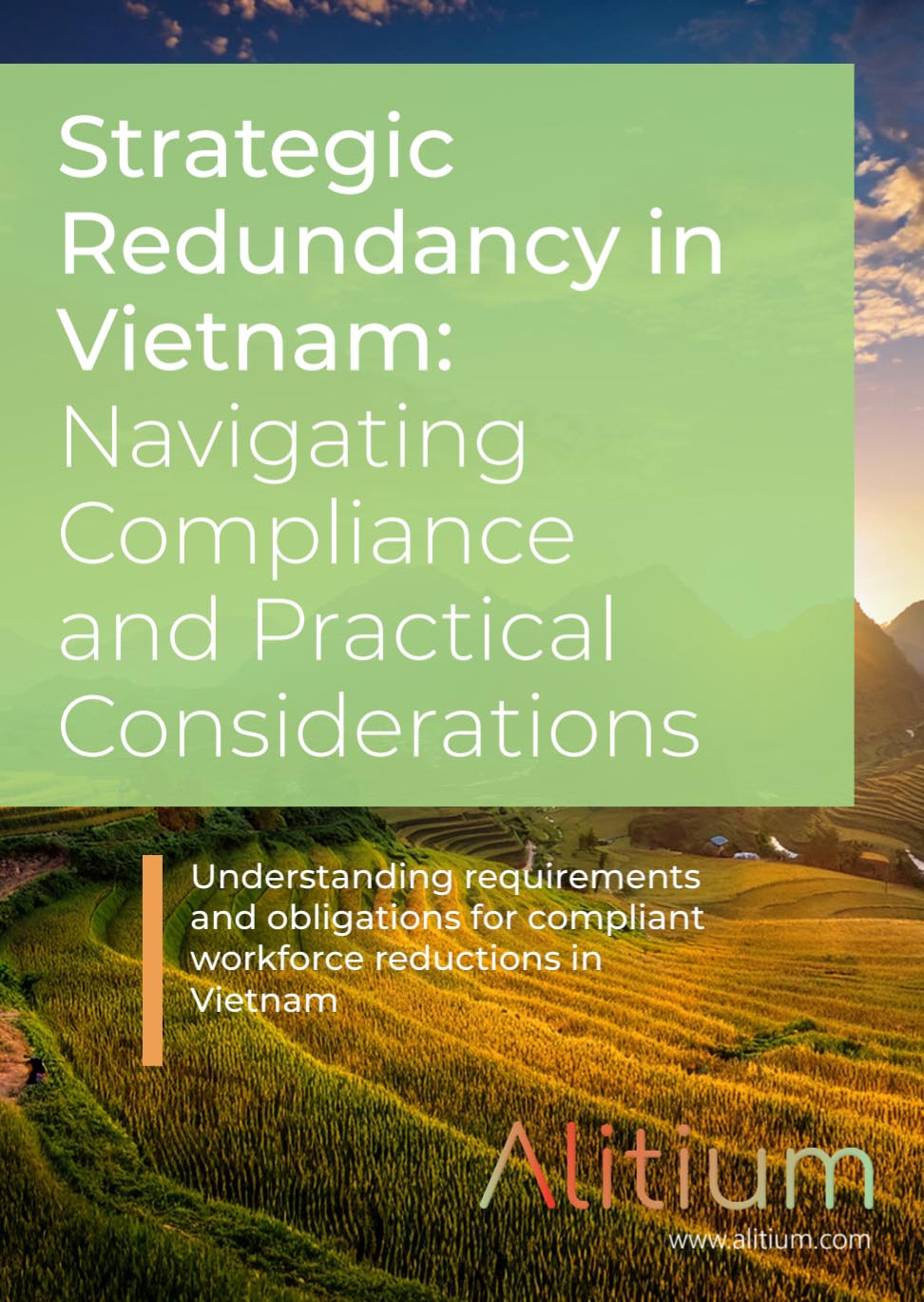 Strategic Redundancy in Vietnam 2025