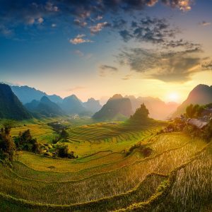 Changes to VAT Invoice Issuance from 1 June 2025, with Decree 70/2025/ND-CP