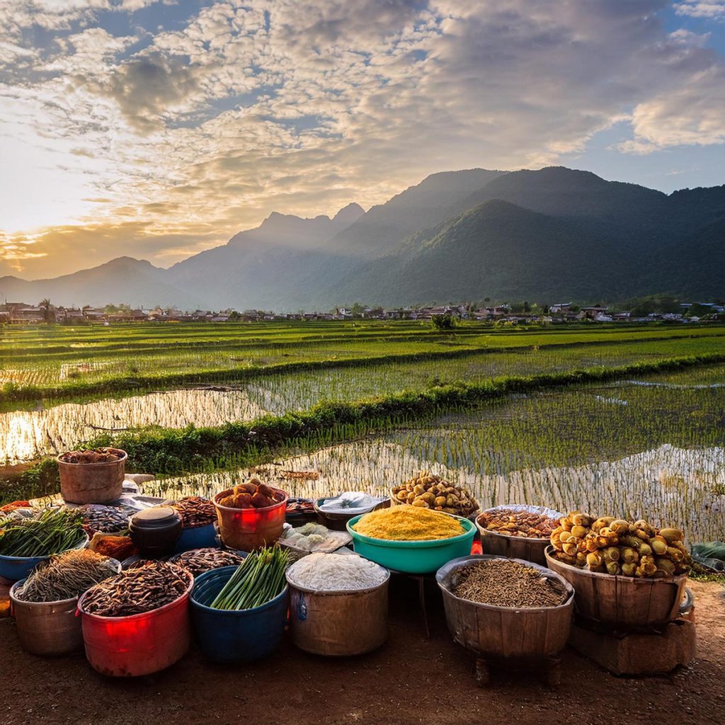 Vietnam Fields and Vegetables