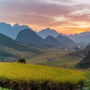 UBO in Vietnam: Corporate Structuring, Compliance & M&A Impacts