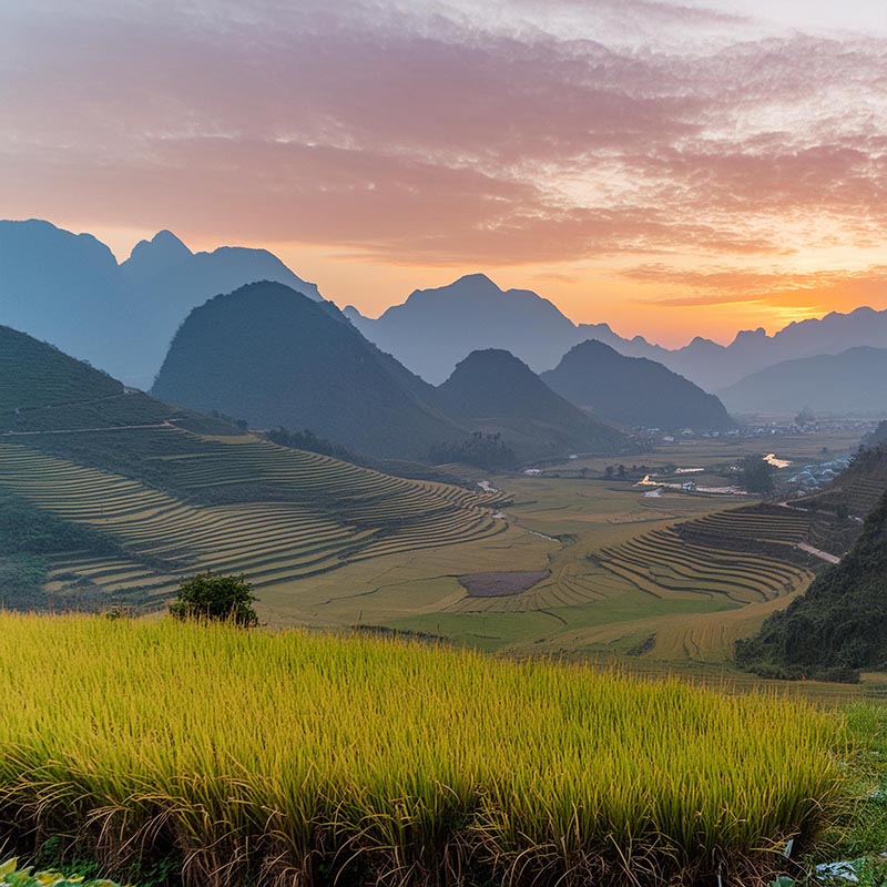 UBO in Vietnam: Corporate Structuring, Compliance & M&A Impacts