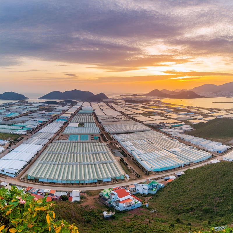 Vietnam PIT Withholding for Employers: Filings for “Nil” Withholding Periods