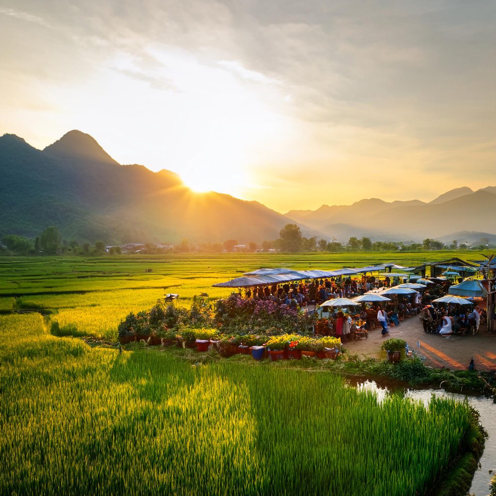 Vietnam Tax Audits 2026 | Inspection Risks, Transfer Pricing & Tax Compliance