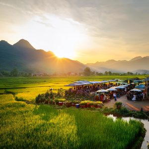 Vietnam Tax Audits 2026 | Inspection Risks, Transfer Pricing & Tax Compliance