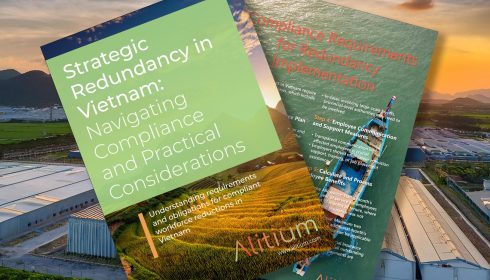 Strategic Redundancy in Vietnam in 2025 Strategic Redundancy in Vietnam in 2025